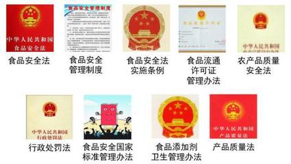 平安校园——食品安全篇 法律保障与责任担当