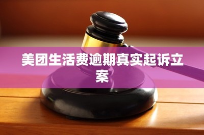 美团生活费逾期真实起诉立案 法律解析与应对